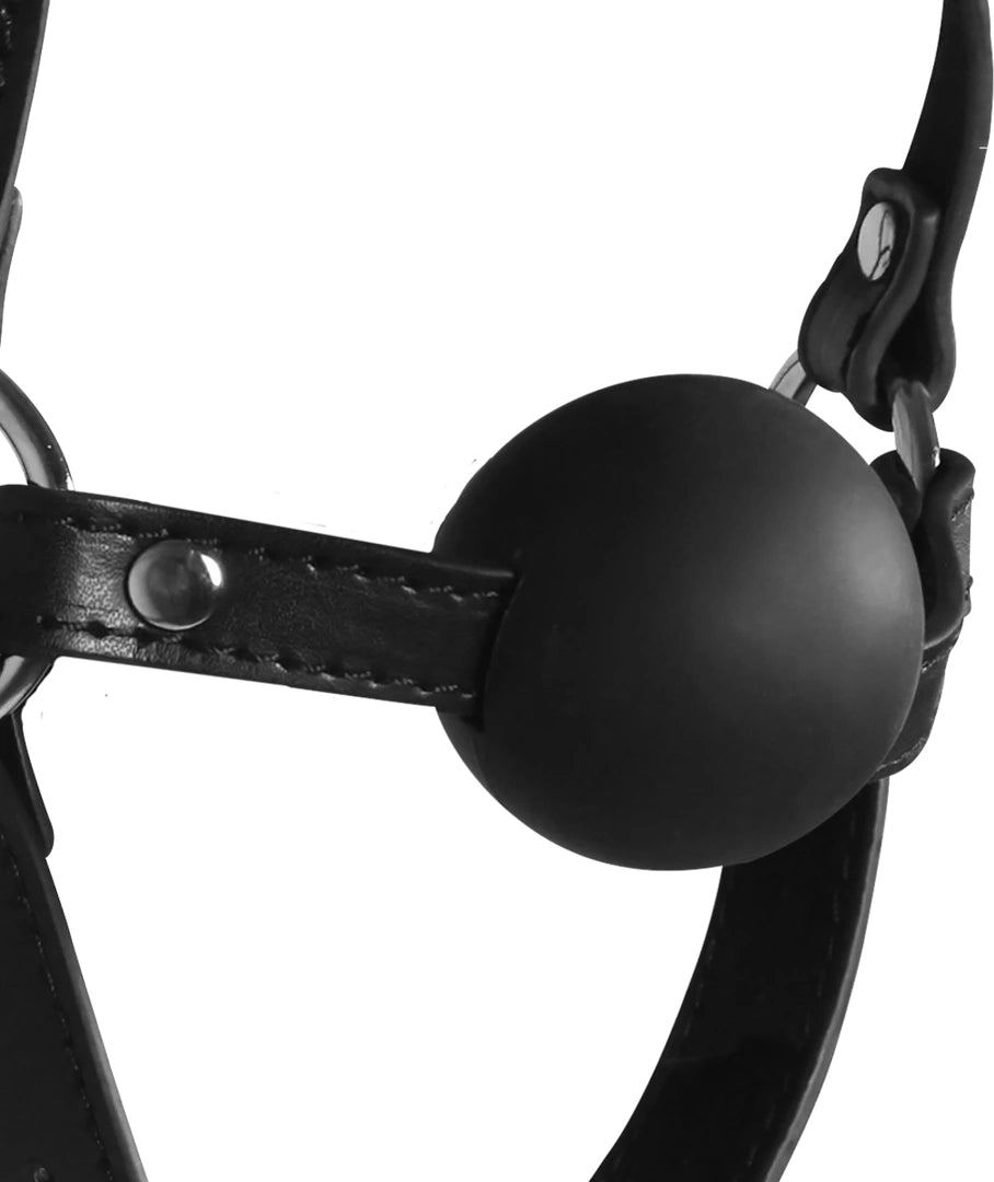 de62d57c5905644202d59f7bb6248c4d